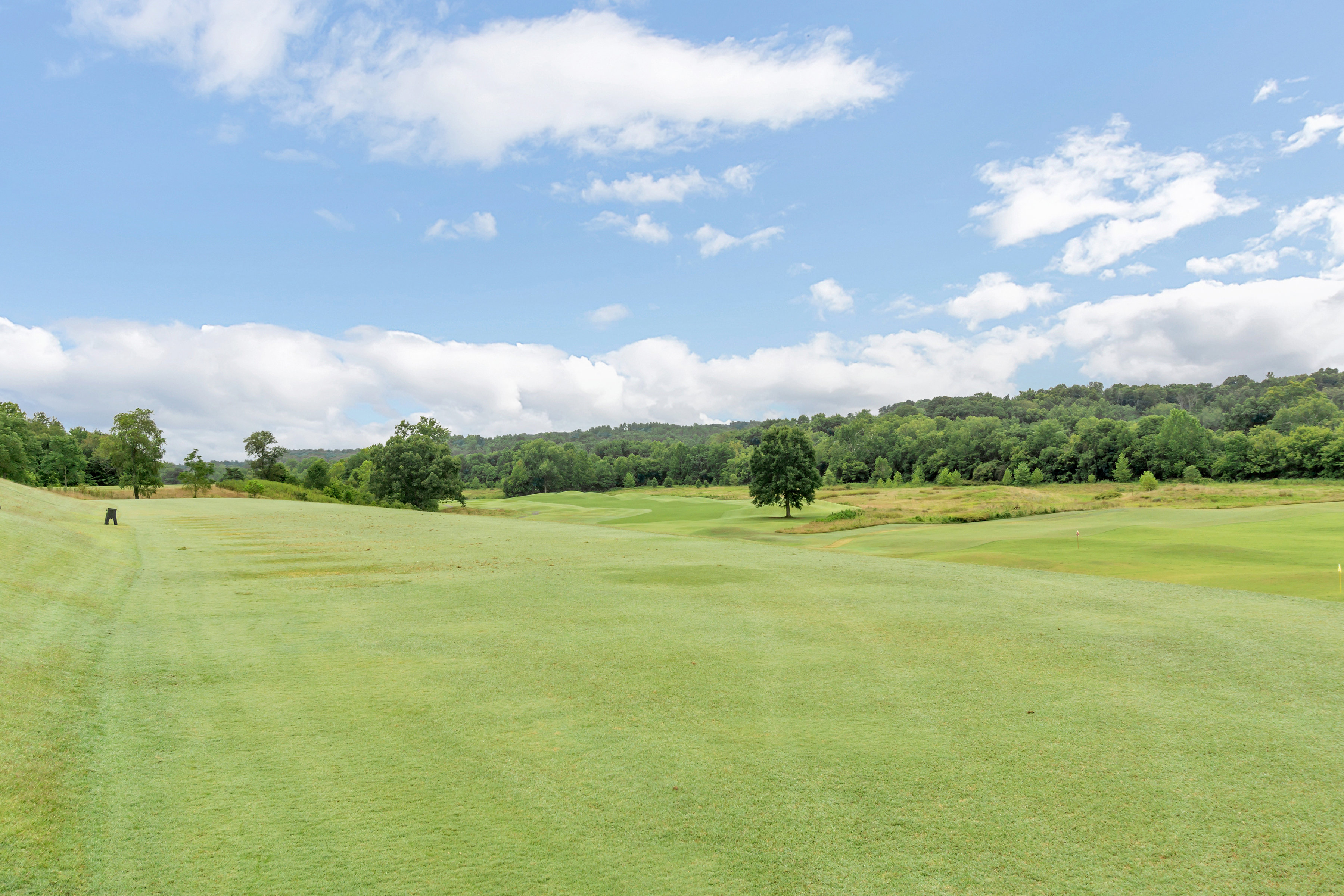 Idyllic view of Glenmore golf course, surrounded by trees against a blue sky