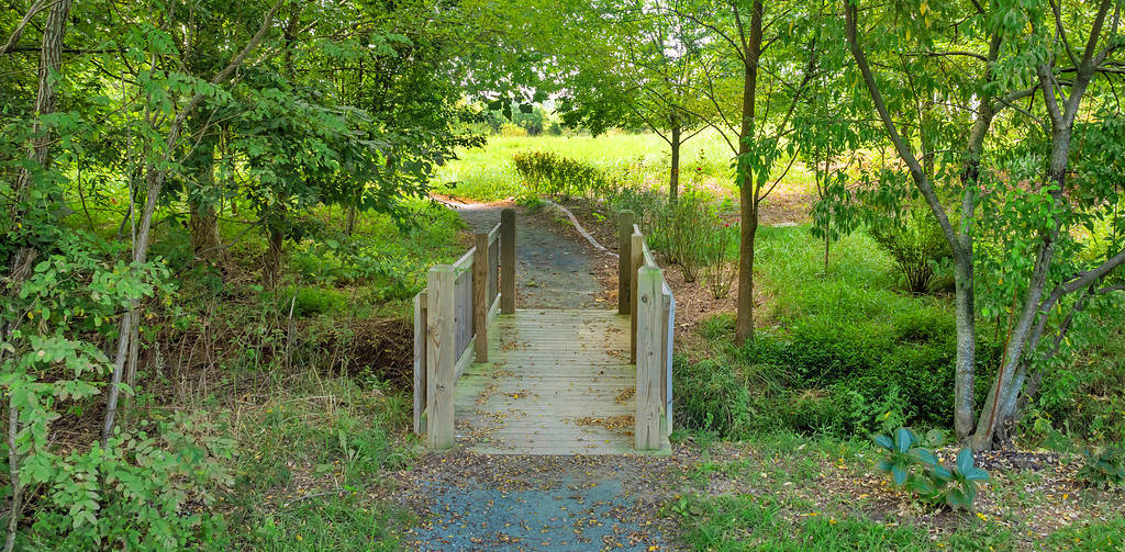 A peaceful photograph of one of the many walking paths scattered throughout Old Trail Village. Bright green trees shade a wooden bridge crossing a small stream.